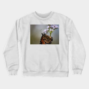 Upside Down Crewneck Sweatshirt